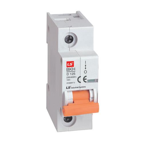 MCB LS 1P 125A 10kA ( BKH )